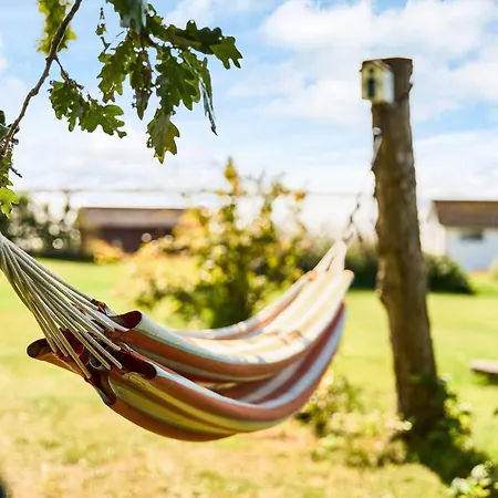 6 Person In * فابورغ