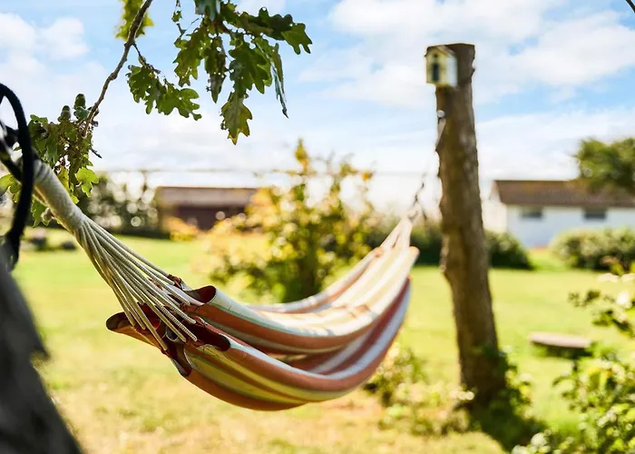 6 Person In * Fåborg